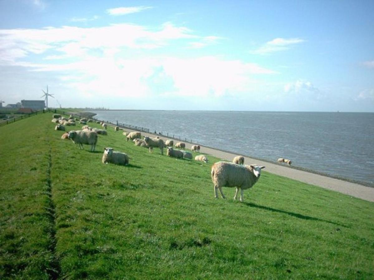 فيلا Nice Chalet With Microwave, Near The Wadden Sea Tzummarum المظهر الخارجي الصورة